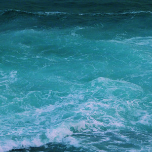 国产真实对白久久
